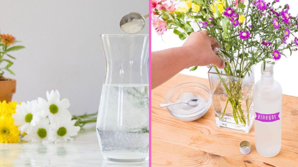 I learned why adding sugar to flower water makes bouquets last longer