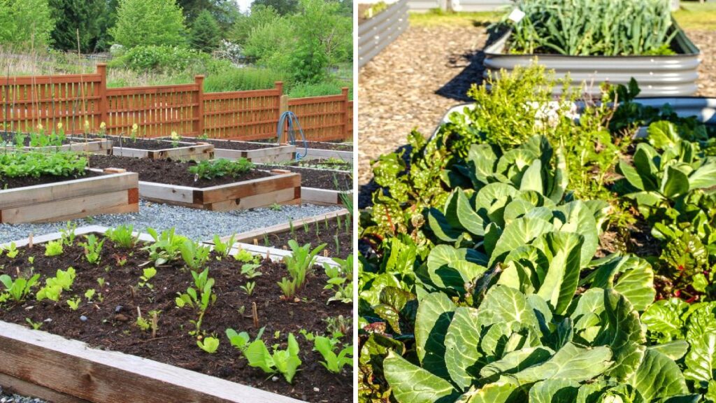 Build a Garden Bed That Feeds You: The Ultimate Guide to Growing Vegetables in Raised Beds at Home