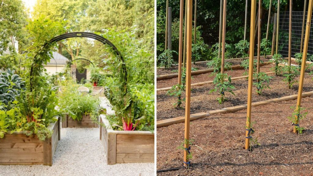 Grow Up, Not Out: How to Build Perfect Plant Support Structures for Bigger, Healthier, High-Yield Gardens