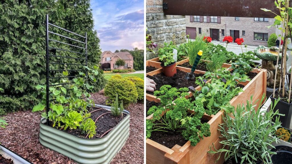 The Ultimate Guide to Building a Raised Bed: Create a Productive Garden Anywhere!