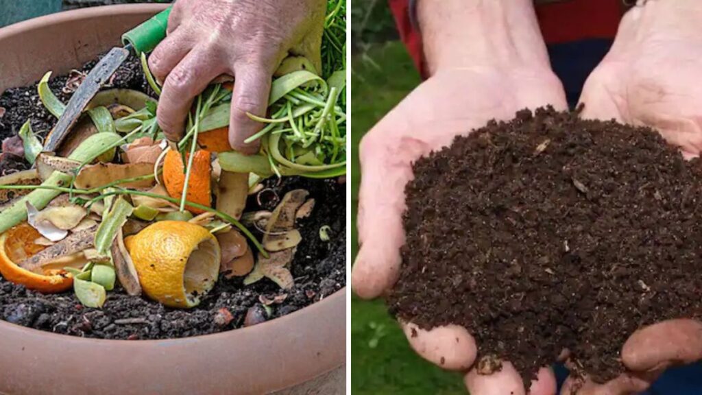Turn Kitchen Waste Into Garden Gold: The Ultimate Guide to Creating a Compost Bin for Your Home Garden